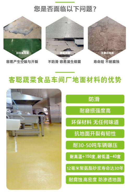 客聪蔬菜食品厂地面材料探伤仪的精密选型与应用